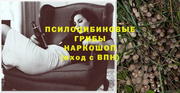 дмт Алексин
