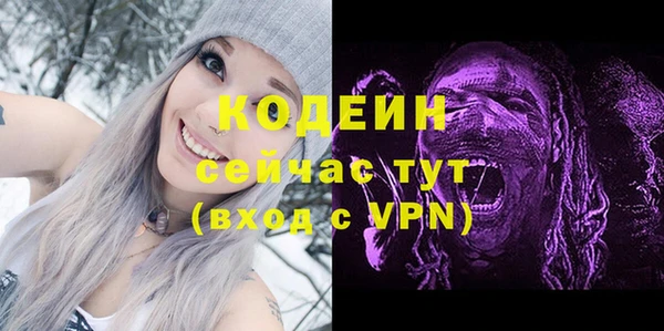ECSTASY Алзамай