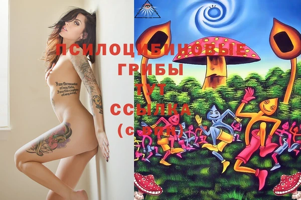 дмт Алексин