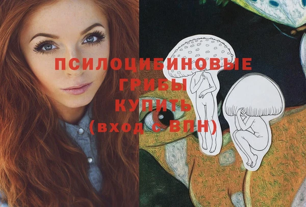 эйфоретик Алексеевка